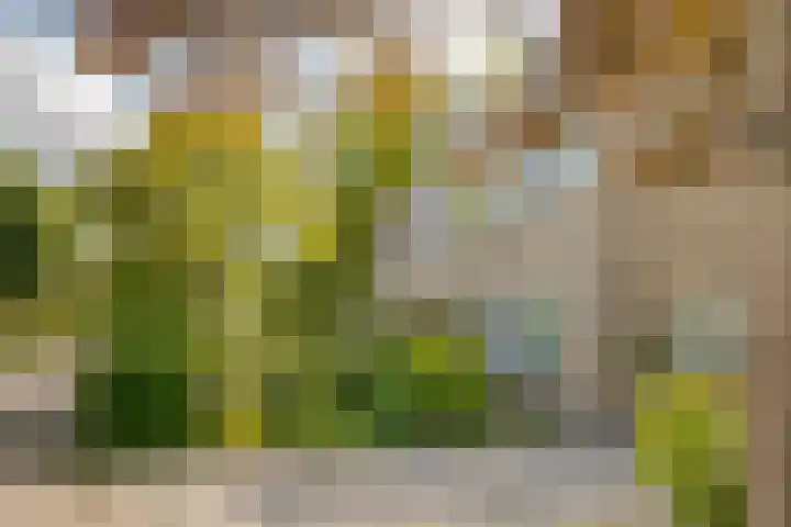 Eikenlaan 8 Peize thumbnail 8