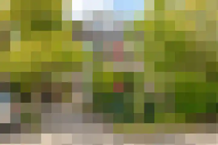 Eikenlaan 8 Peize thumbnail 9