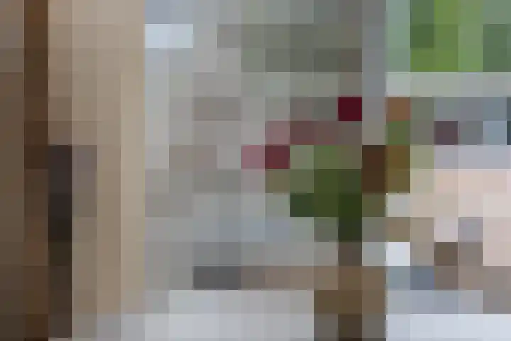Eikenlaan 8 Waalwijk thumbnail 11