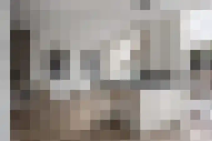 Eikenlaan 8 Waalwijk thumbnail 18