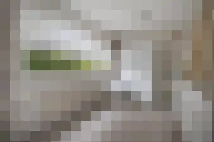 Eikenlaan 8 Waalwijk thumbnail 28