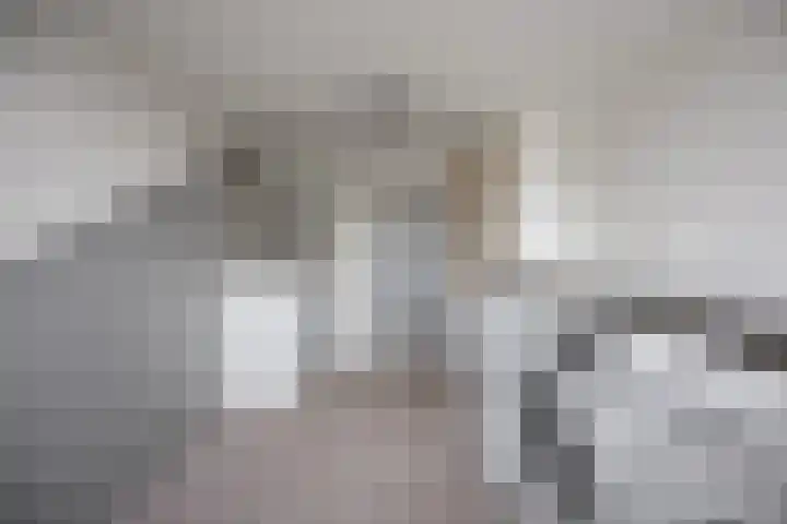 Eikenlaan 8 Waalwijk thumbnail 31