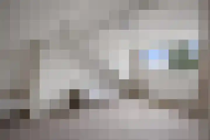 Eikenlaan 8 Waalwijk thumbnail 32