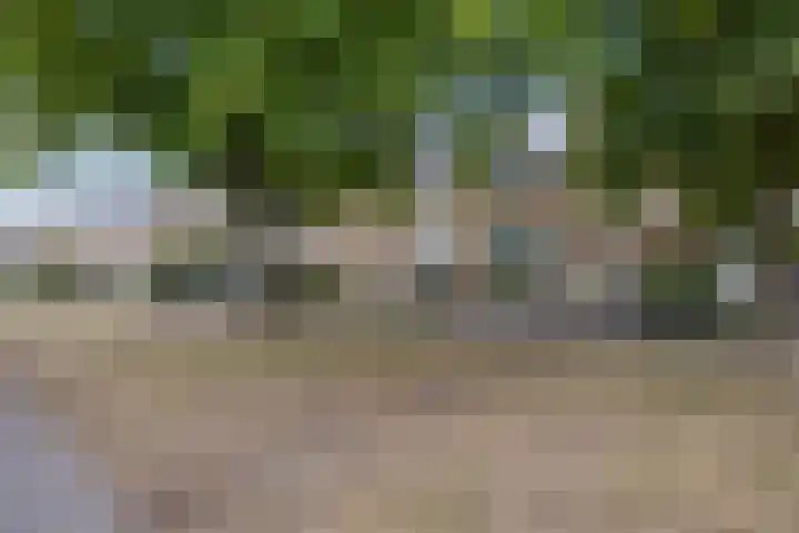 Eikenlaan 8 Waalwijk thumbnail 37