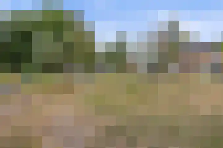 Eikenlaan 8 Waalwijk thumbnail 38