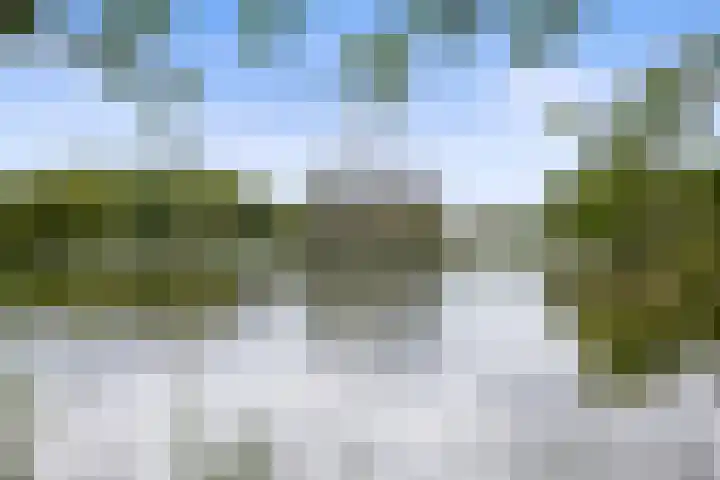 Eikenlaan 8 Waalwijk thumbnail 39