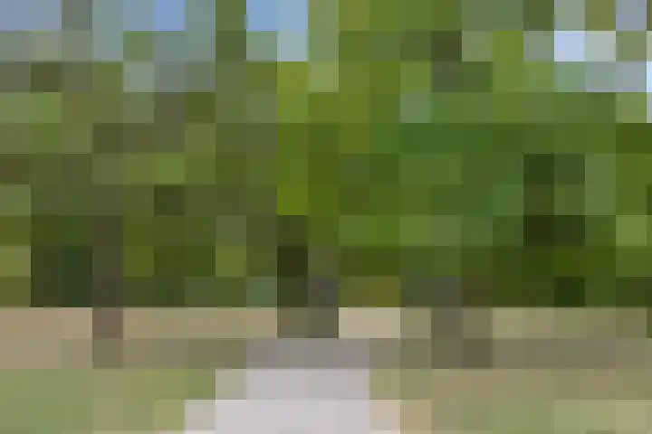 Eikenlaan 8 Waalwijk thumbnail 40