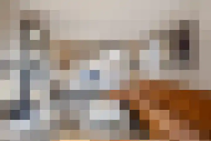 Eikenlaan 8 Woudrichem thumbnail 15