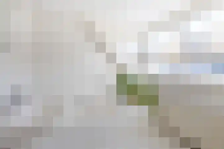 Eikenlaan 8 Woudrichem thumbnail 40