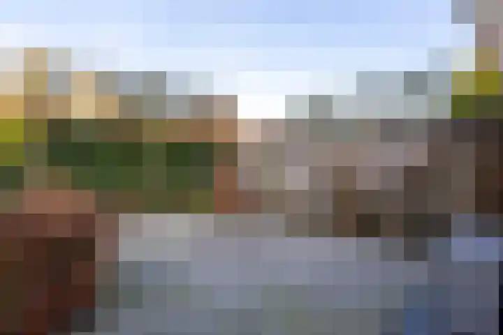 Eikenlaan 8 Woudrichem thumbnail 56