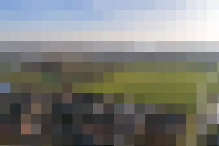 Eikenlaan 8 Woudrichem thumbnail 67