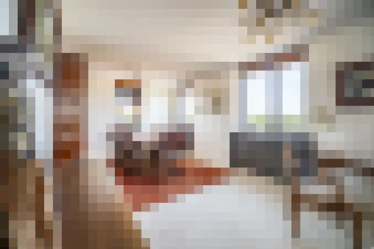 Eikenlaan 83 Voorschoten thumbnail 10