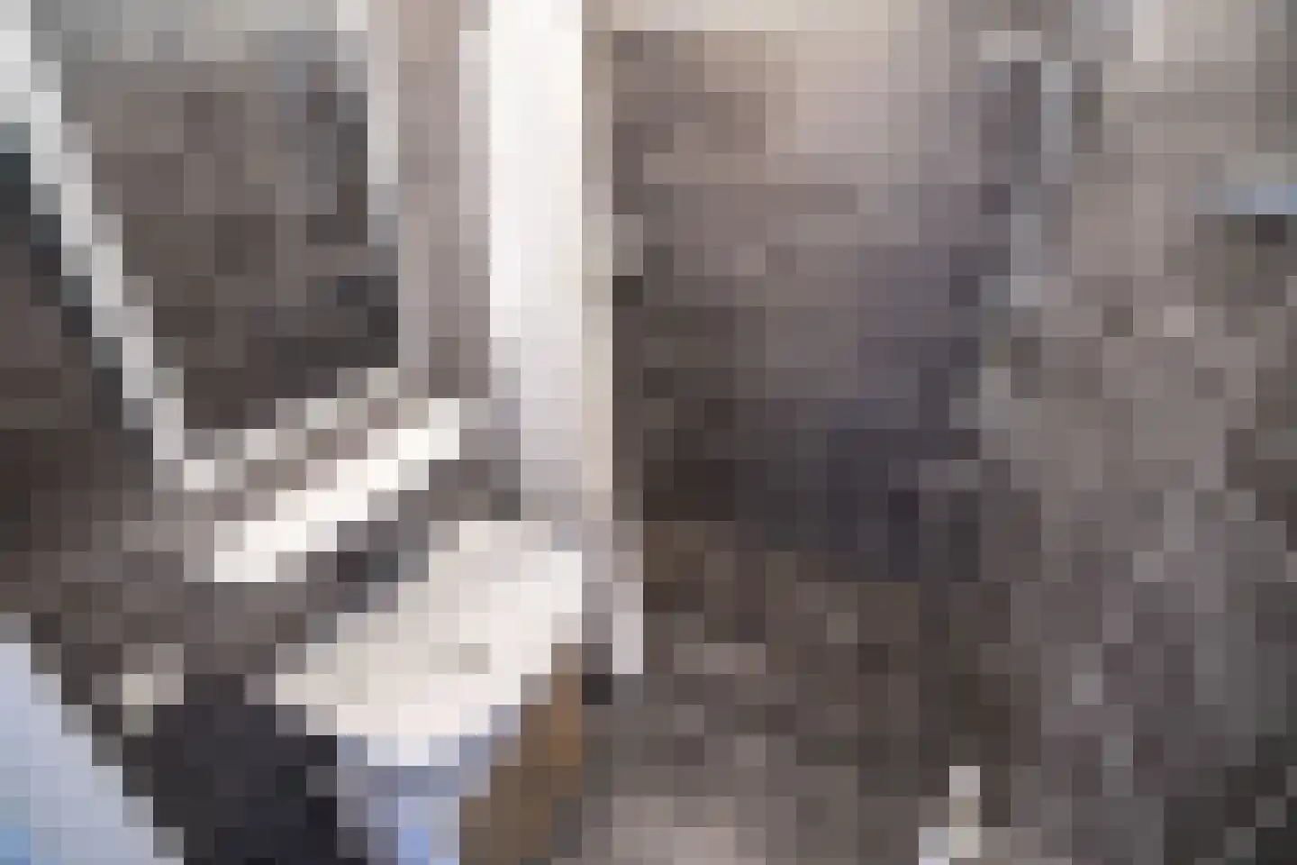 Eikenlaan 83 Voorschoten thumbnail 34