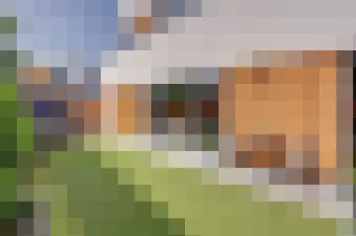 Eikenlaan 88 Venray thumbnail 30