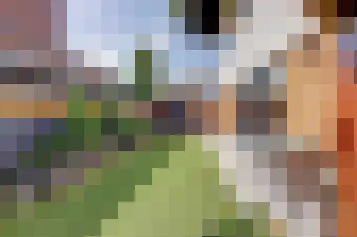 Eikenlaan 88 Venray thumbnail 32