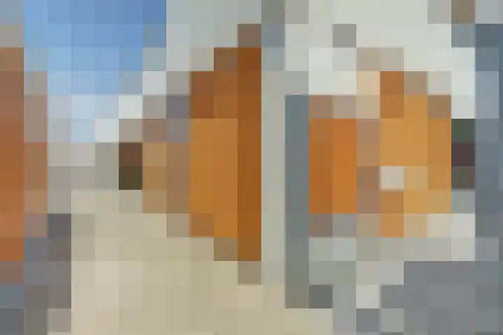 Eikenlaan 88 Venray thumbnail 38