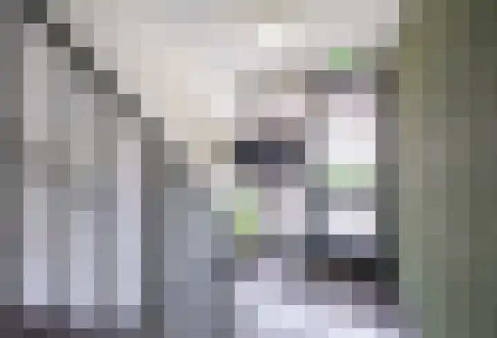 Eikenlaan 88 Venray thumbnail 6