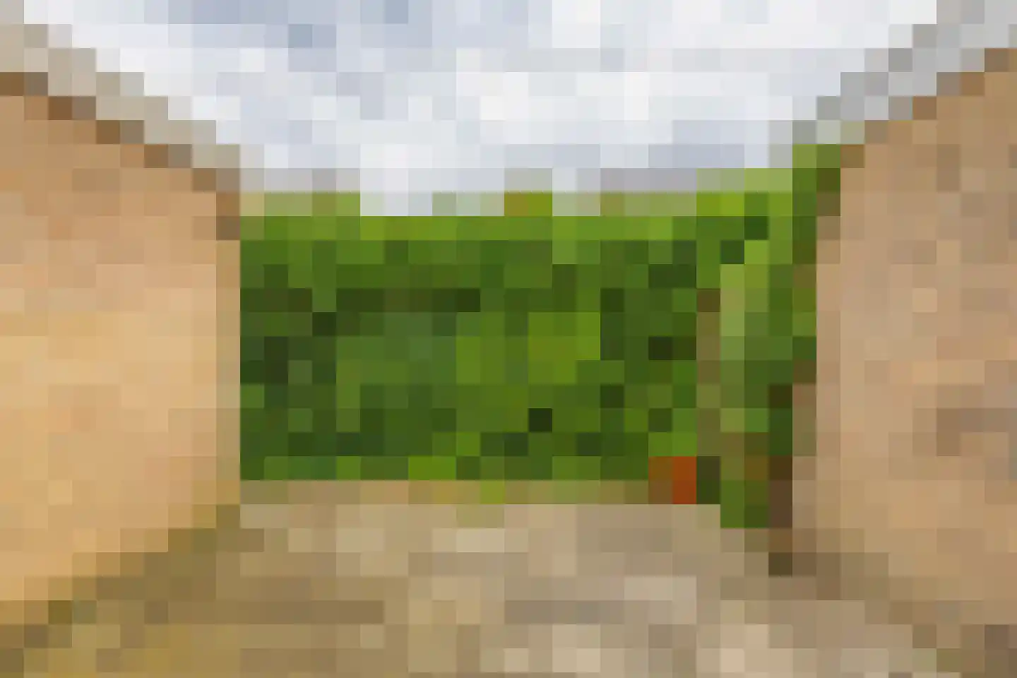 Eikenlaan 9 Meeden thumbnail 35