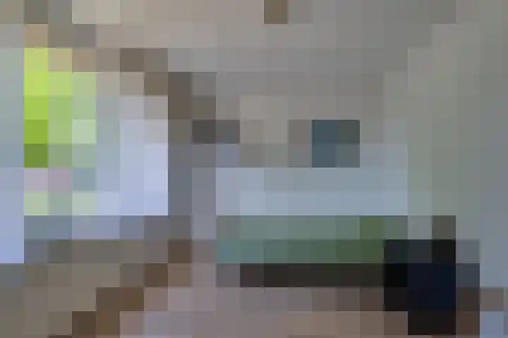 Eikenlaan 90 Dordrecht thumbnail 17