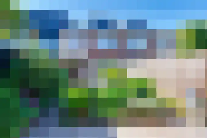 Eikenlaan 90 Dordrecht thumbnail 32