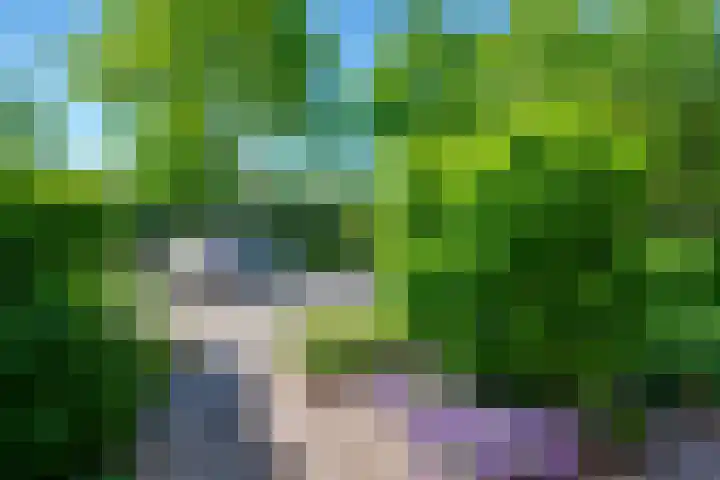 Eikenlaan 90 Dordrecht thumbnail 5