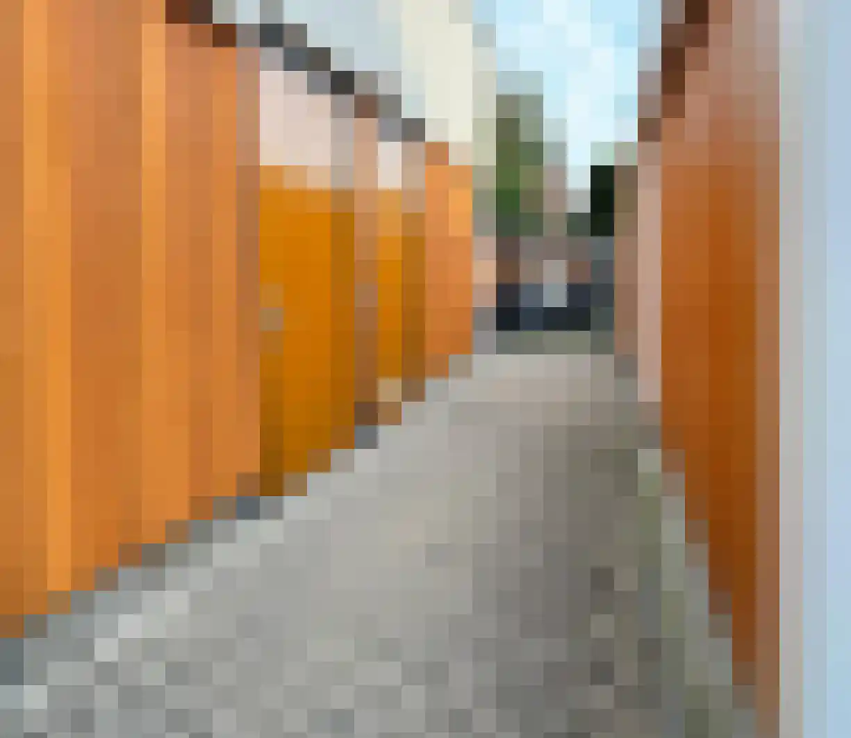 Eikenlaan 92 Venray thumbnail 39