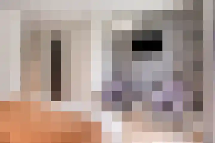 Eikenpage 10 Mierlo thumbnail 12