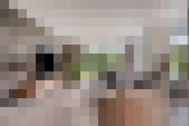Eikenpage 10 Mierlo thumbnail 16