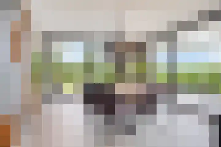 Eikenpage 10 Mierlo thumbnail 19