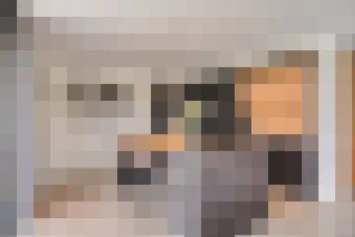 Eikenpage 10 Mierlo thumbnail 21