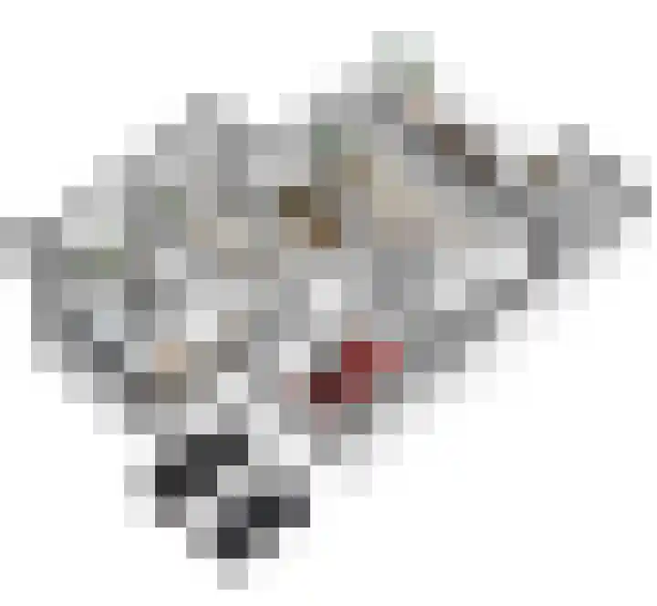 Eikenpage 10 Mierlo thumbnail 29