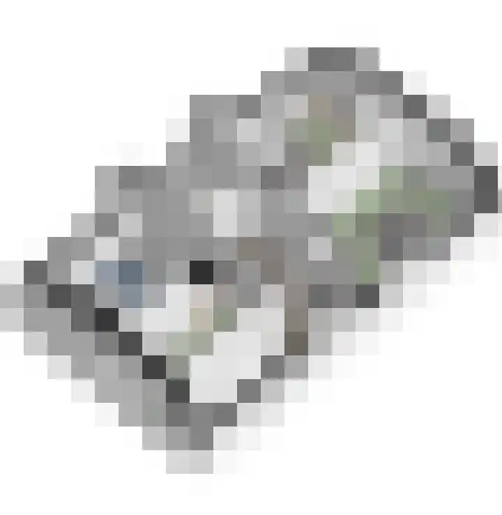 Eikenpage 10 Mierlo thumbnail 39