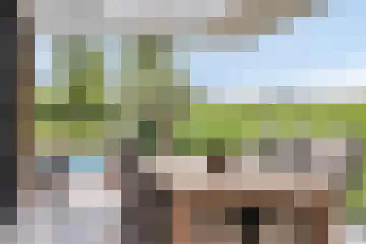 Eikenpage 10 Mierlo thumbnail 43