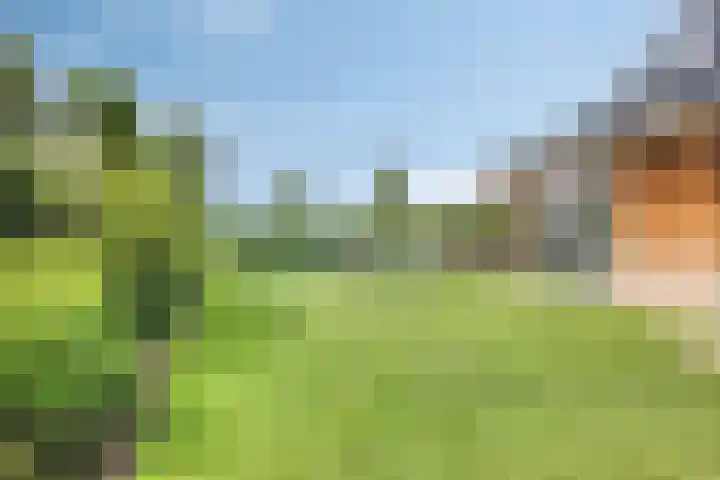 Eikenpage 10 Mierlo thumbnail 47