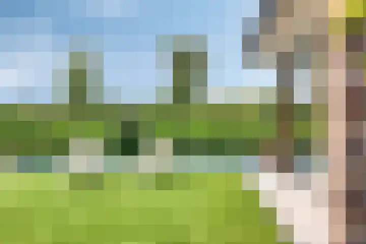 Eikenpage 10 Mierlo thumbnail 48