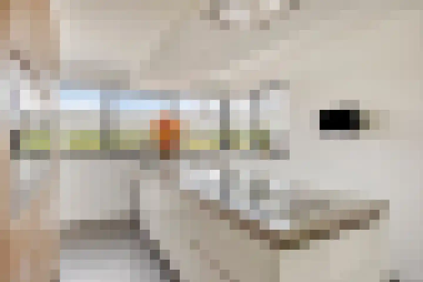 Eikenpage 15 Someren thumbnail 26