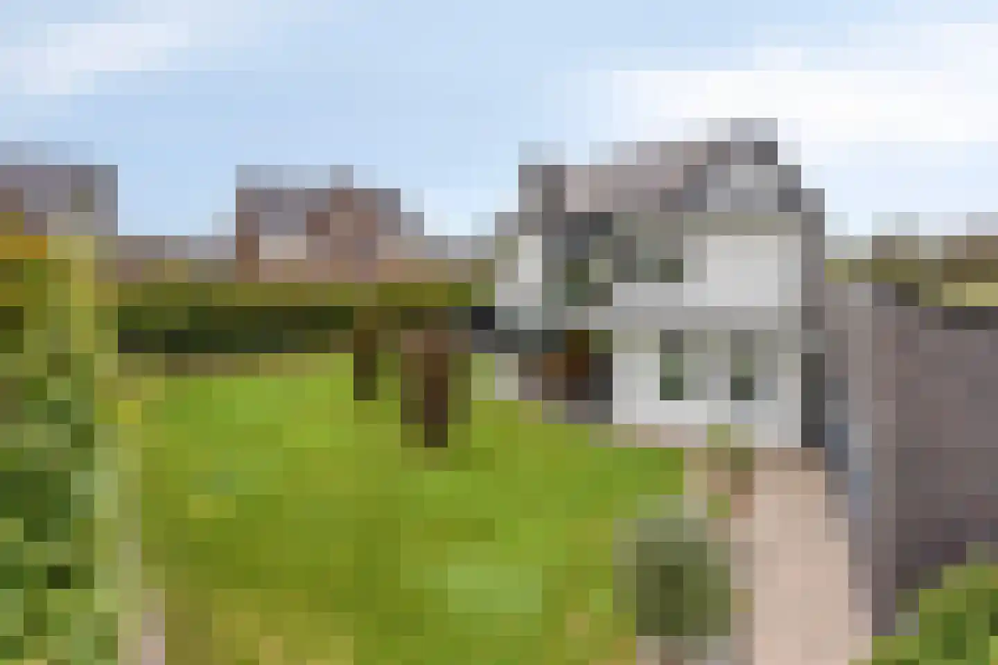 Eikenpage 15 Someren thumbnail 55
