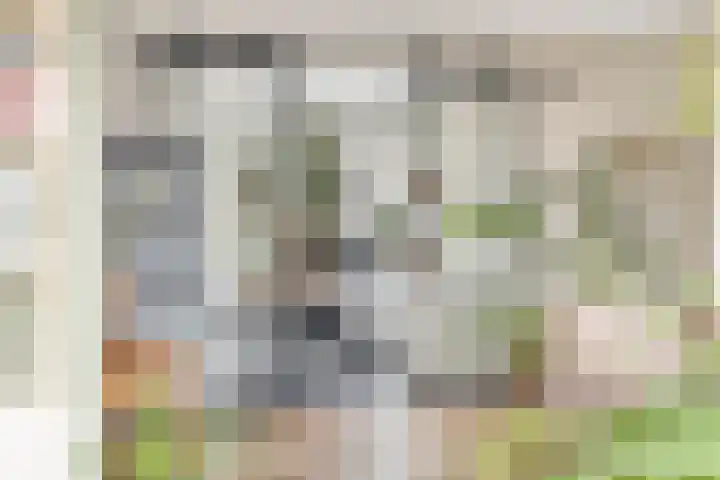 Eikenpage 16 Mierlo thumbnail 17