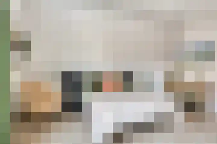 Eikenpage 16 Mierlo thumbnail 27