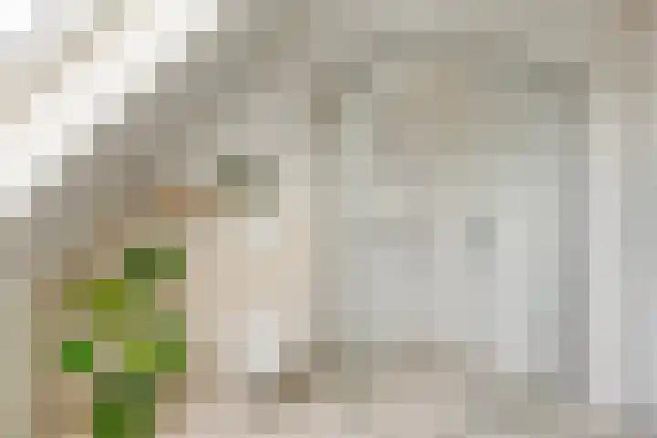 Eikenpage 16 Mierlo thumbnail 31