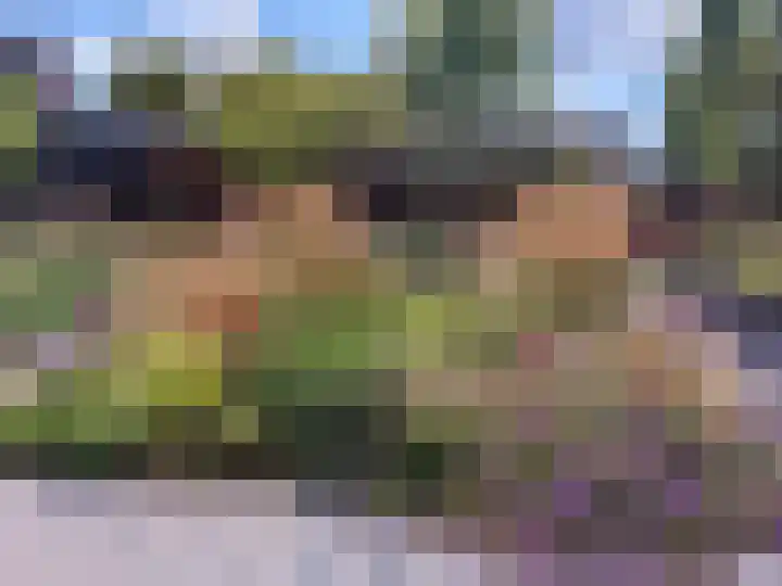 Eikenpage 16 Mierlo thumbnail 47