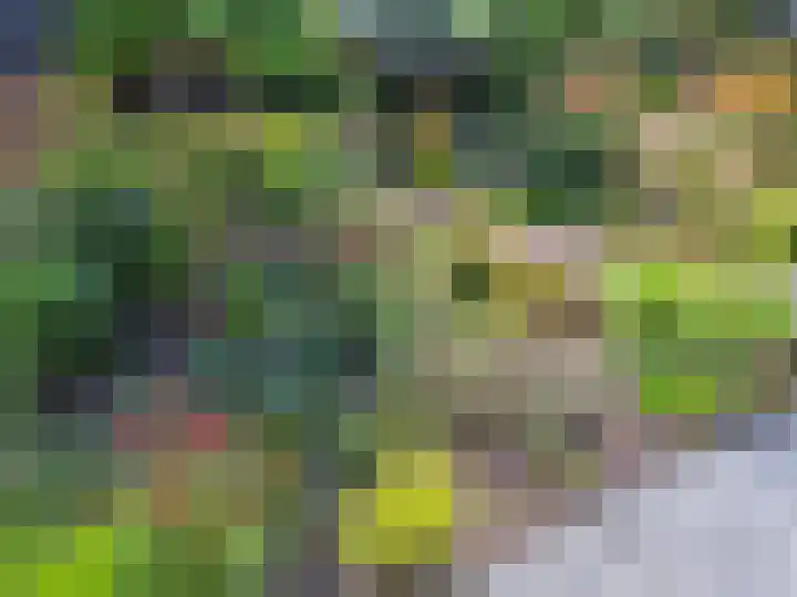 Eikenpage 16 Mierlo thumbnail 48