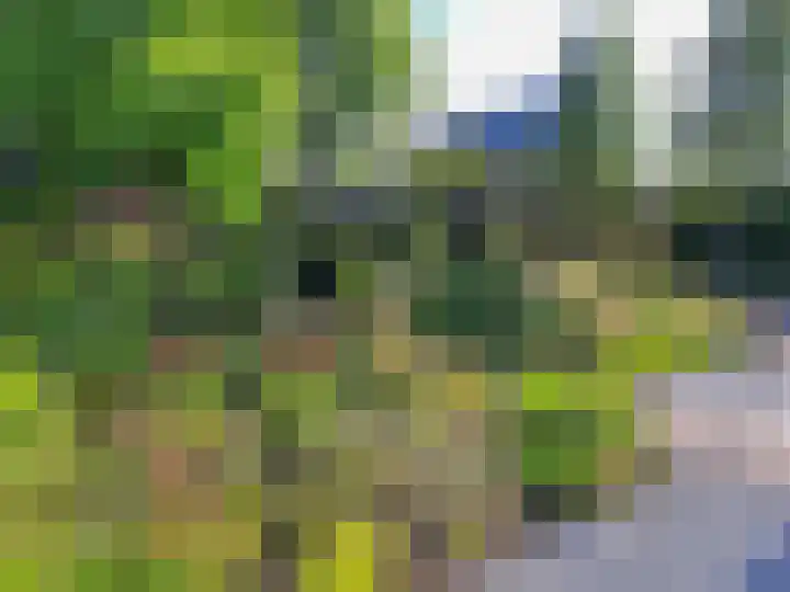 Eikenpage 16 Mierlo thumbnail 49