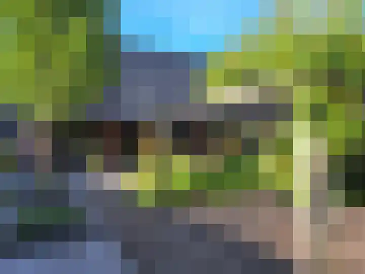 Eikenpage 16 Mierlo thumbnail 50