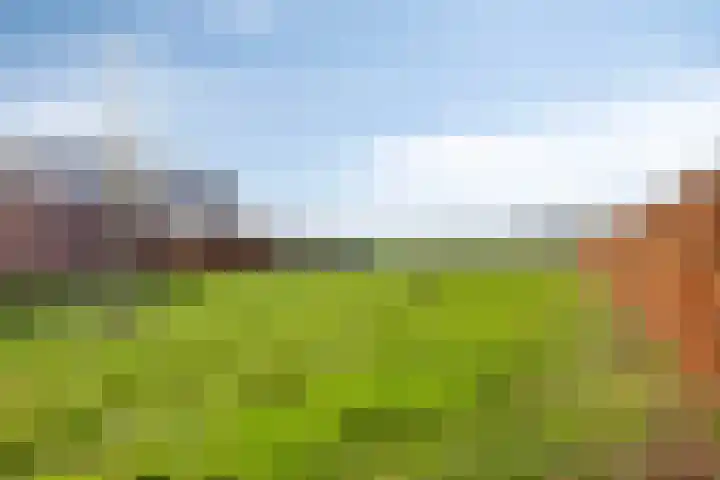 Eikenpage 16 Mierlo thumbnail 51