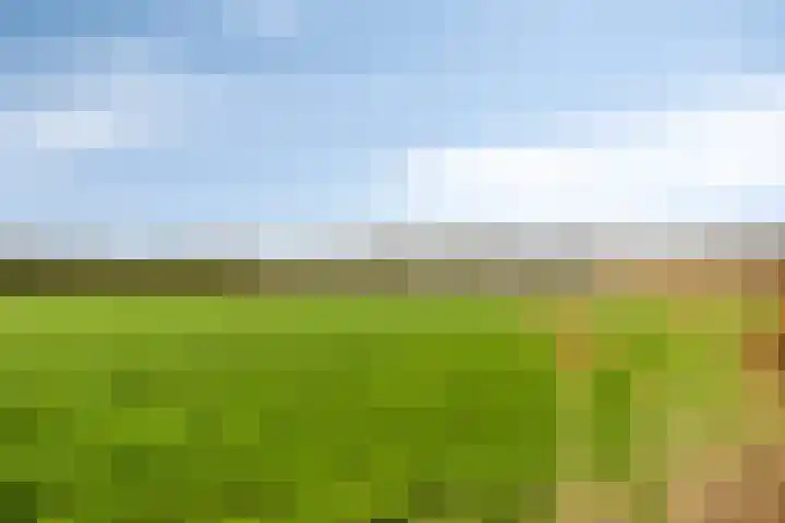 Eikenpage 16 Mierlo thumbnail 52