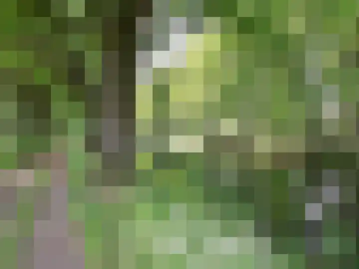 Eikenpage 16 Mierlo thumbnail 54