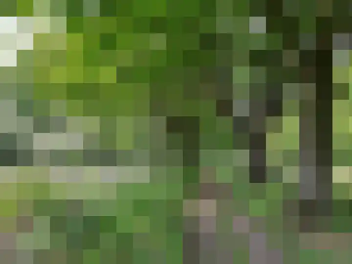 Eikenpage 16 Mierlo thumbnail 55