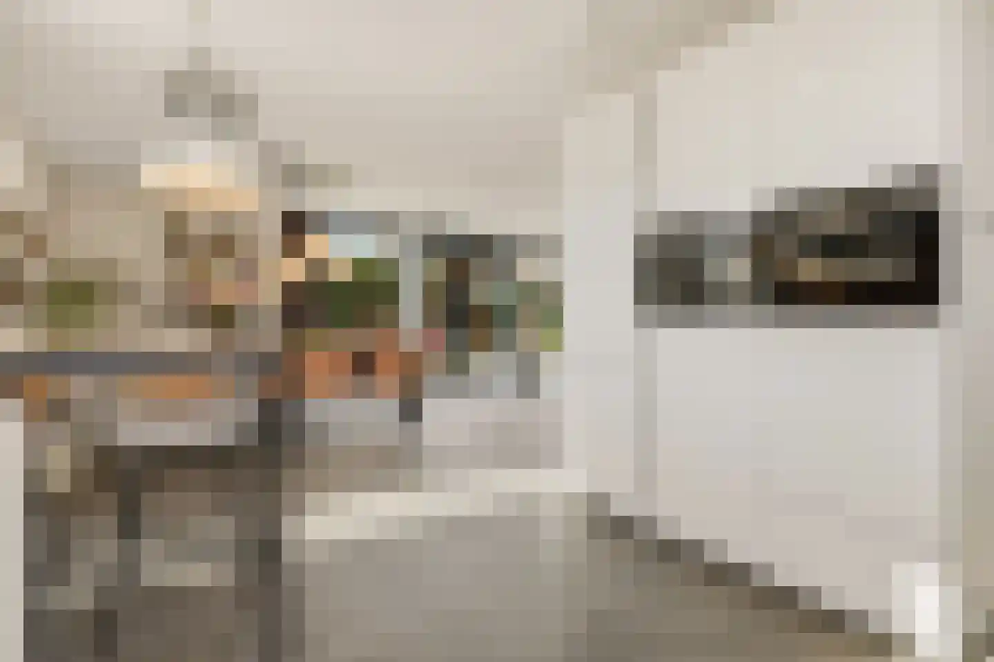 Eikenpage 4 Mierlo thumbnail 11