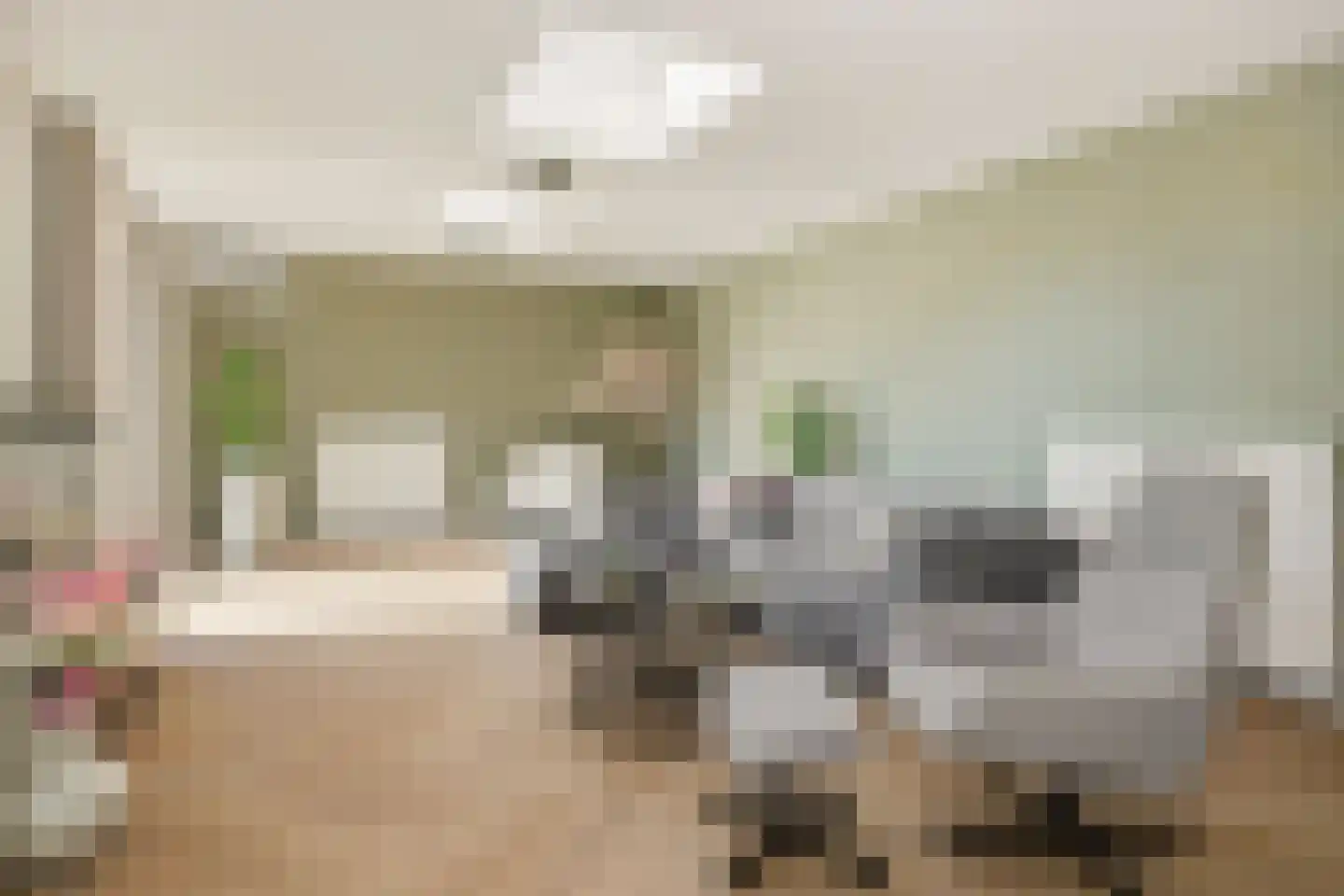 Eikenpage 4 Mierlo thumbnail 16